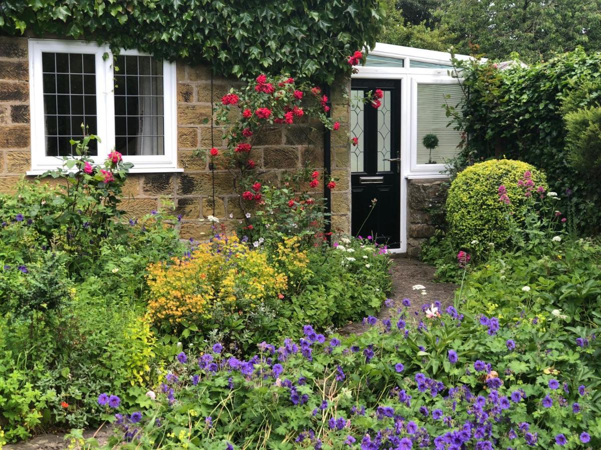 Scalby Grove Cottage 스카버러 외부 사진